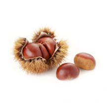 2021 New Harvest Export Natural Hot Selling Good Chinese Fresh Chestnut